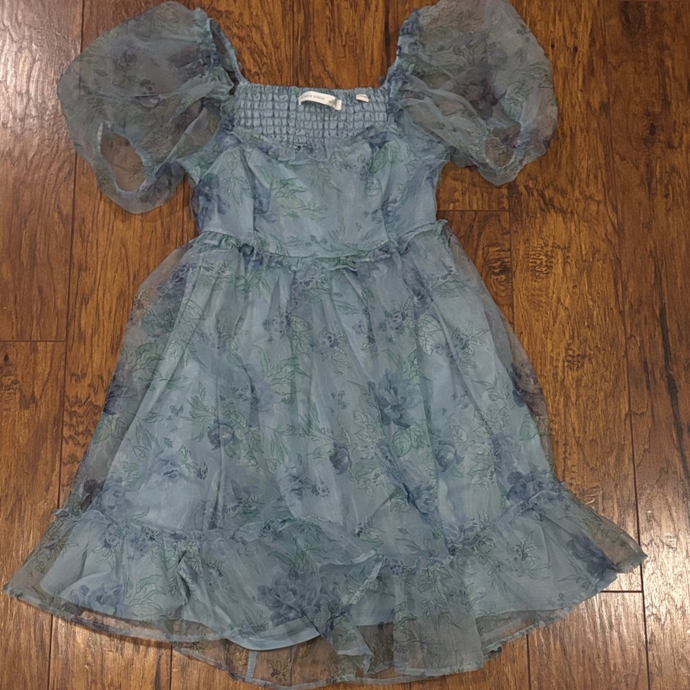 Altar'd State Sheer Blue Open Back Floral Dress